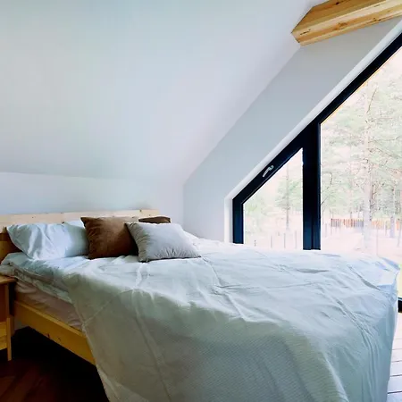 W Kaszubskim Lesie Holiday home Borsk