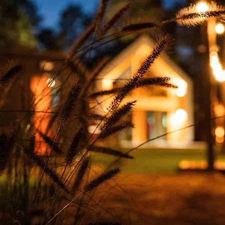 Holiday home W Kaszubskim Lesie Borsk