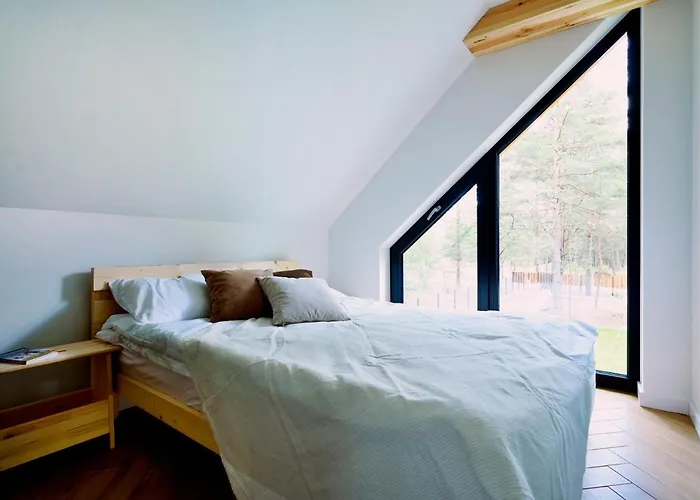 W Kaszubskim Lesie Dom wakacyjny Borsk