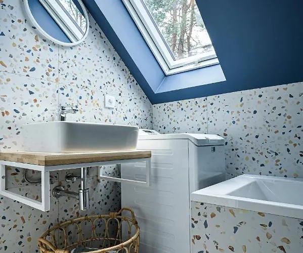 W Kaszubskim Lesie Borsk