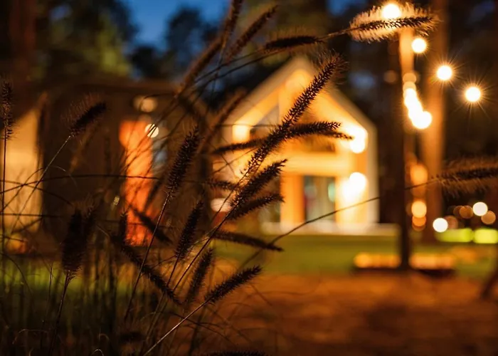 Dom wakacyjny W Kaszubskim Lesie Borsk