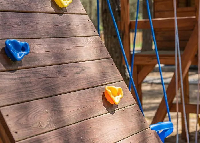 W Kaszubskim Lesie Borsk